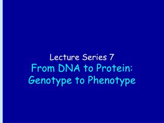 Lecture Series 7 From DNA to Protein: Genotype to Phenotype