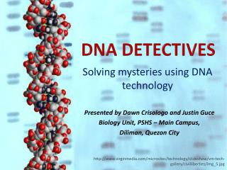DNA Detectives