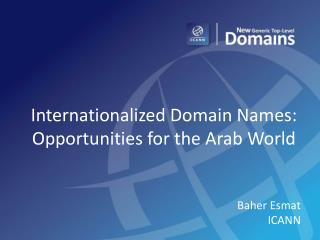 Internationalized Domain Names: Opportunities for the Arab World