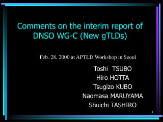 Comments on the interim report of DNSO WG-C (New gTLDs)