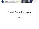 Small Animal Imaging - slide 1