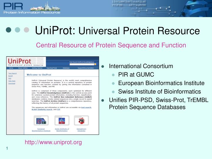 uniprot universal protein resource