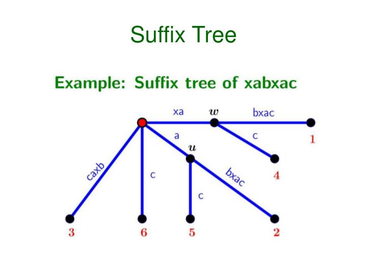 suffix tree