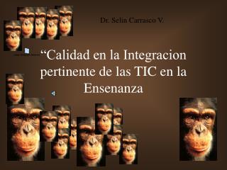 calidad en la integracion pertinente de las tic en la ensenanza