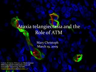 Ataxia telangiectasia and the Role of ATM