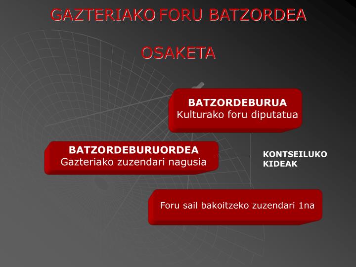 gazteriako foru batzordea osaketa