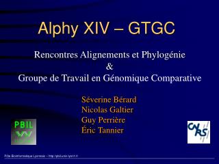 Alphy XIV – GTGC