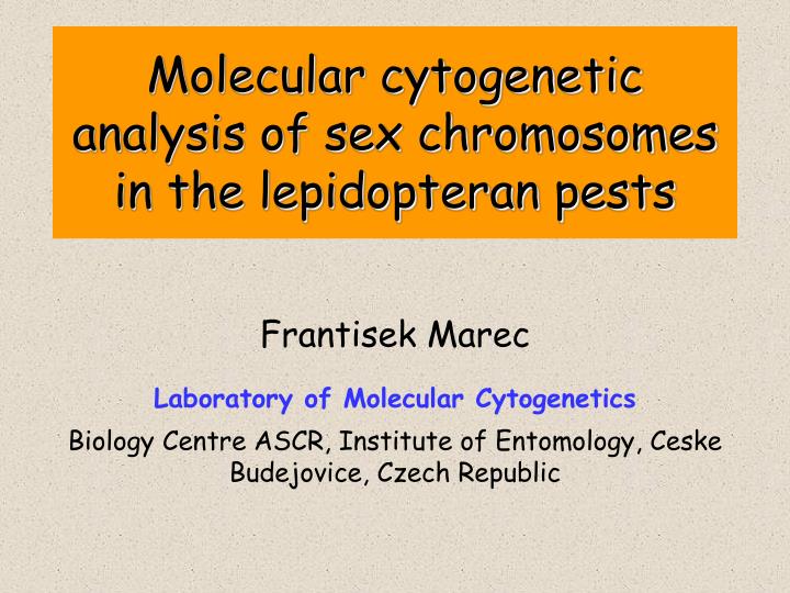 molecular cytogenetic analysis of sex chromosomes in the lepidopteran pests