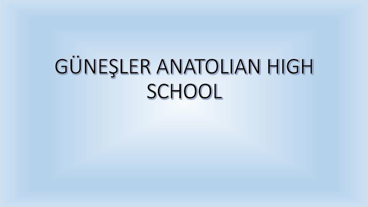 g ne ler anatolian high school