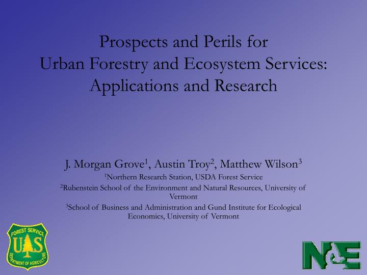 prospects and perils for urban forestry and ecosystem services applications and research