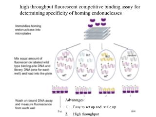 Advantages: Easy to set up and scale up High throughput