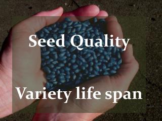 Seed Quality Variety life span
