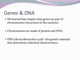 Genes &amp; DNA