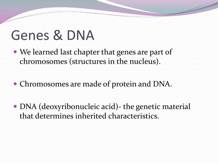 genes dna