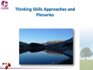 Thinking Skills Approaches and Plenaries
