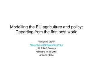 Modelling the EU agriculture and policy: Departing from the first best world