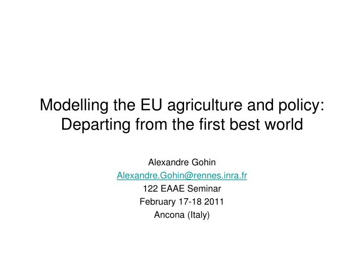 modelling the eu agriculture and policy departing from the first best world