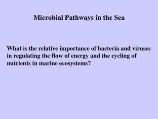 Microbial Pathways in the Sea