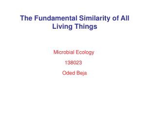 The Fundamental Similarity of All Living Things