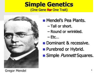 Simple Genetics (One Gene for One Trait)