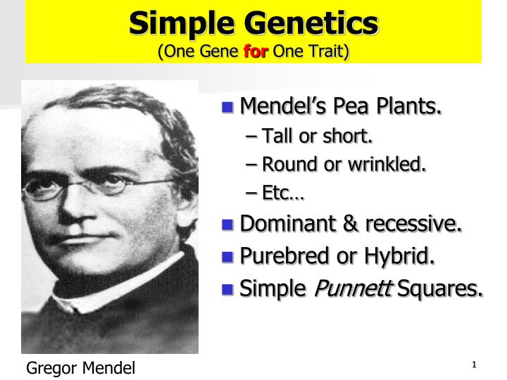 simple genetics one gene for one trait