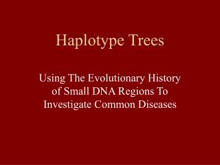 Haplotype Trees