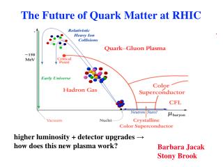 The Future of Quark Matter at RHIC