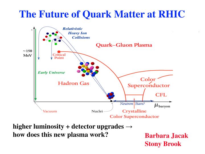 the future of quark matter at rhic