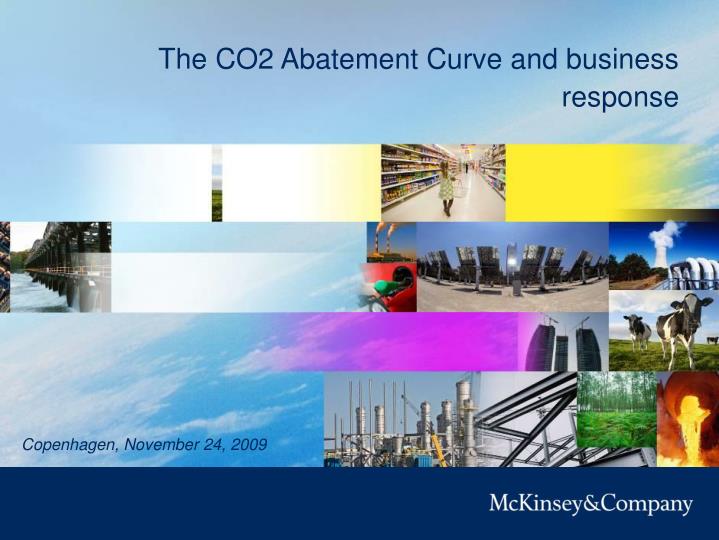 the co2 abatement curve and business response