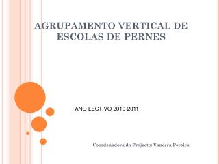 agrupamento vertical de escolas de pernes