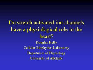 Do stretch activated ion channels have a physiological role in the heart?