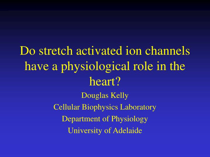 do stretch activated ion channels have a physiological role in the heart