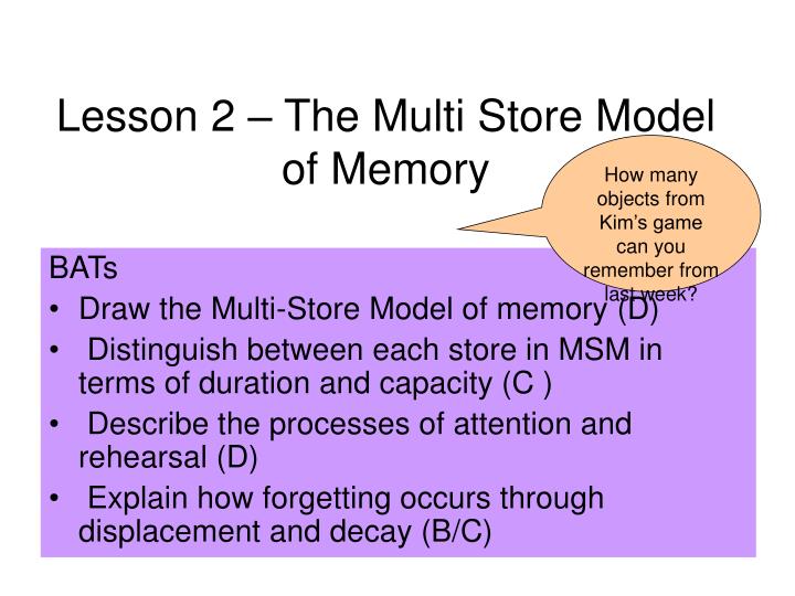 lesson 2 the multi store model of memory
