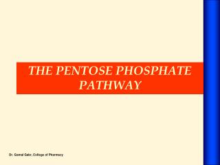 THE PENTOSE PHOSPHATE PATHWAY