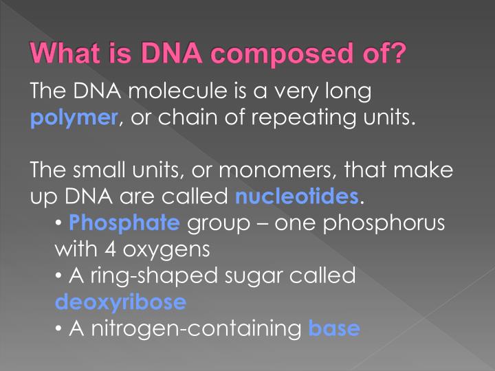 what is dna composed of