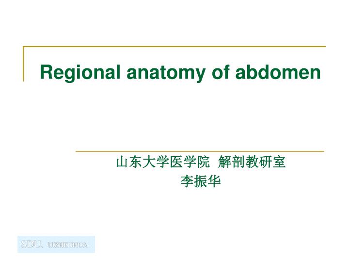 regional anatomy of abdomen