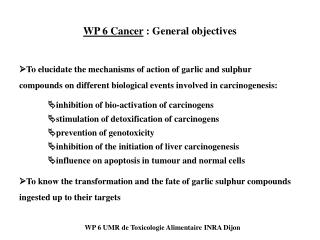 WP 6 Cancer : General objectives