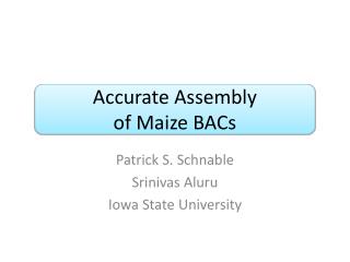 Accurate Assembly of Maize BACs