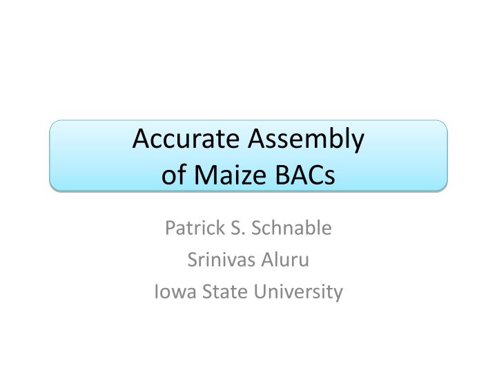 accurate assembly of maize bacs