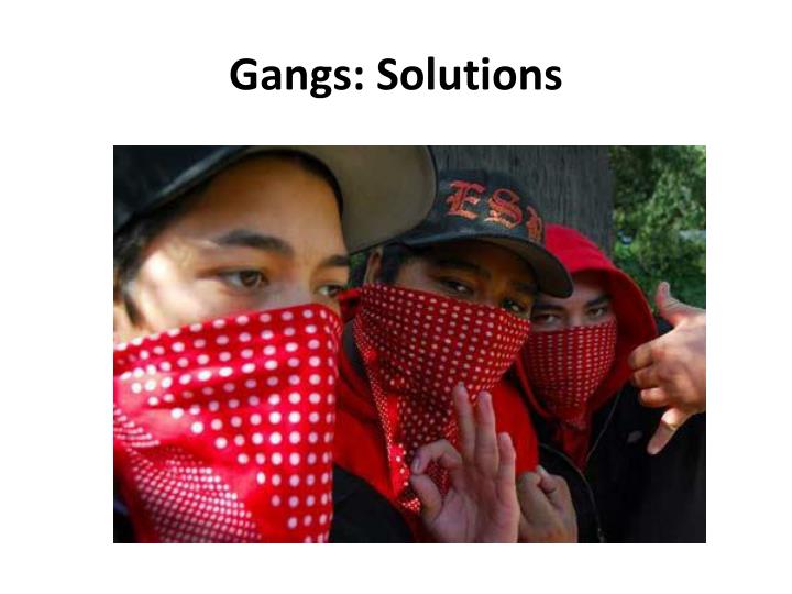 gangs solutions