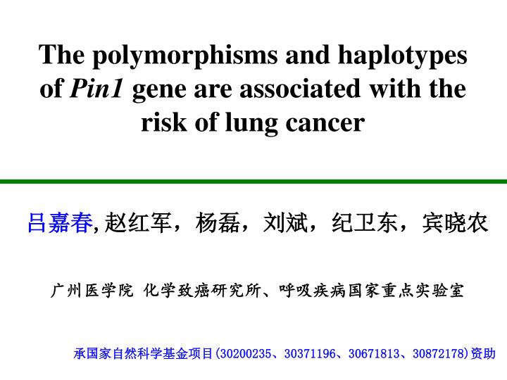 the polymorphisms and haplotypes of pin1 gene are associated with the risk of lung cancer