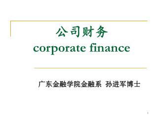 公司财务 corporate finance