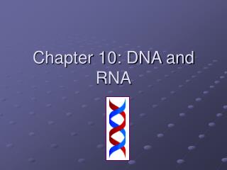 Chapter 10: DNA and RNA