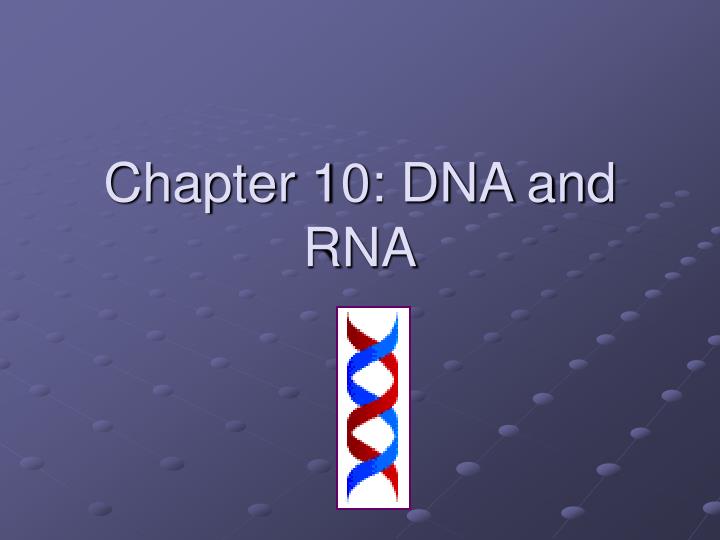 chapter 10 dna and rna