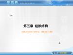 第五章 组织结构 - slide 1