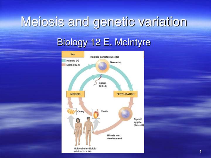 meiosis and genetic variation