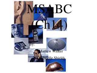 MSABC (Ch14)