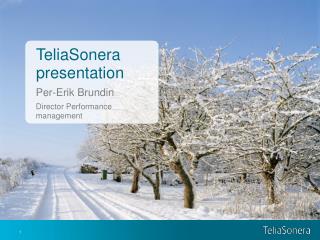 TeliaSonera presentation