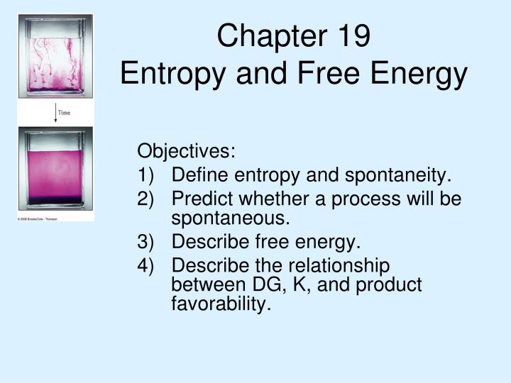 chapter 19 entropy and free energy