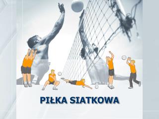 pi ka siatkowa